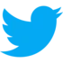 Twitter Share Icon