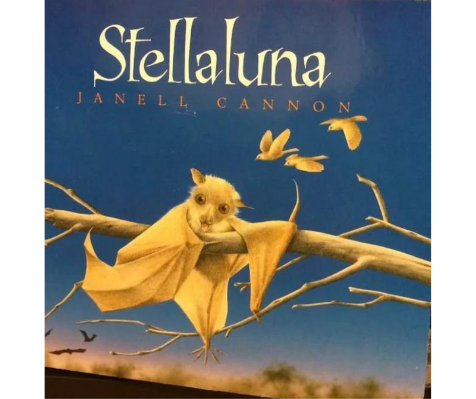 Stellaluna By Janell Cannon 
